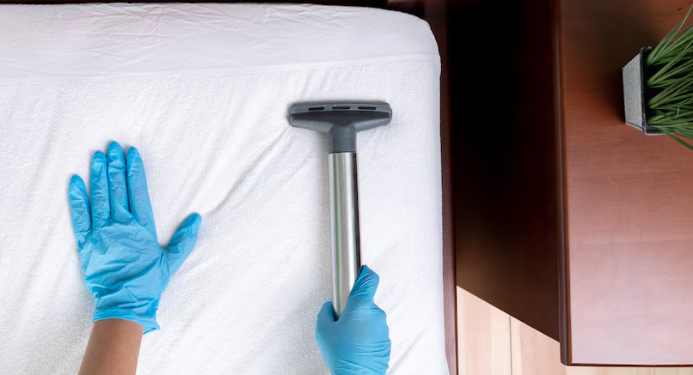 Licensed and insured cleaners in SFV